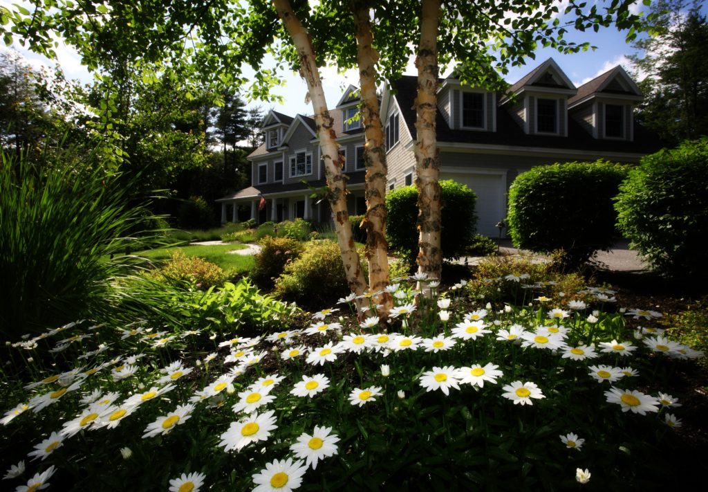 homes curb appeal to attract buyers